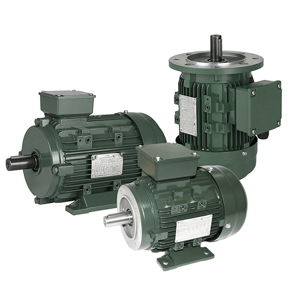 IEC Metric Motors