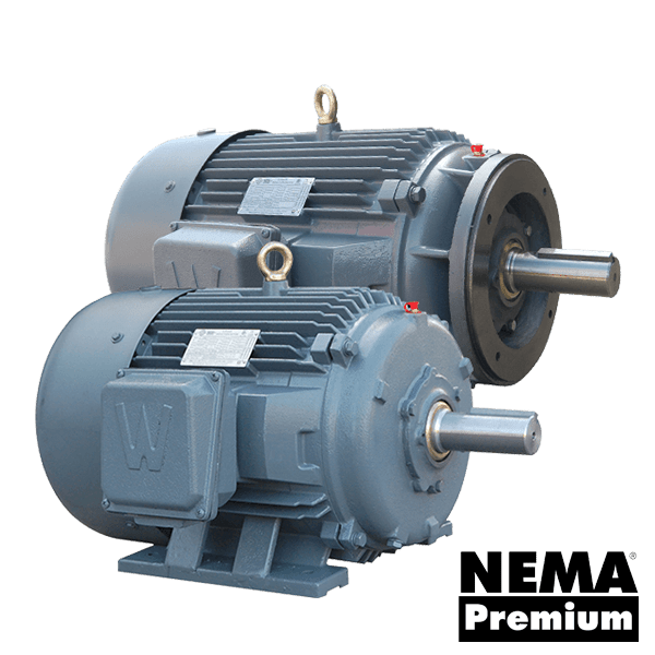 Severe Duty Motors